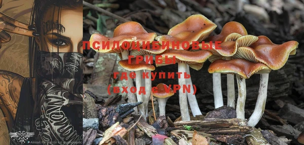 амф Липки