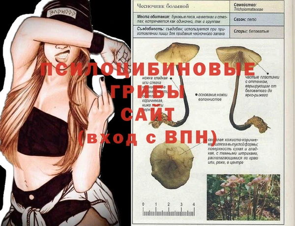 мдпв Лихославль