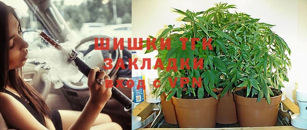 амф Липки
